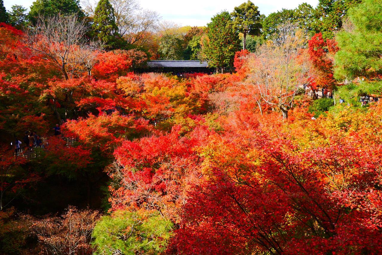 Japaning Hotel Libre Tofukuji Kyoto Exteriör bild